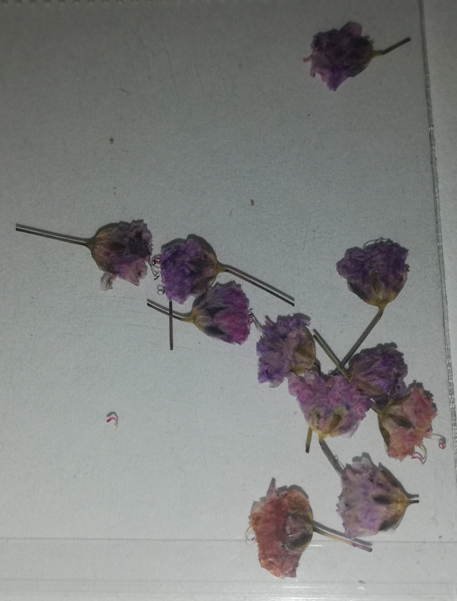 NATURALEZA CRISHA