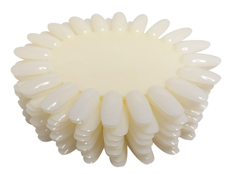 MUESTRARIO Y ARTICULO DE PRACTICA MC