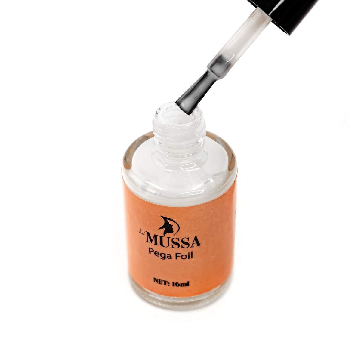 PRODUCTOS BASICOS DIVERSOS MUSSA