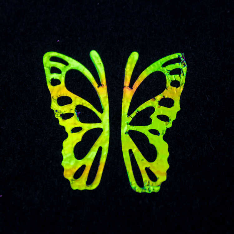 STICKER MARIPOSA